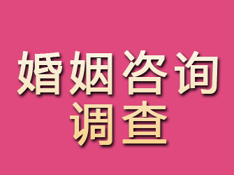 武陵源婚姻咨询调查